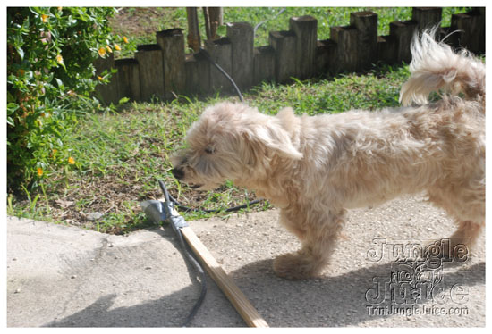 crack_of_dawn_aug1-031