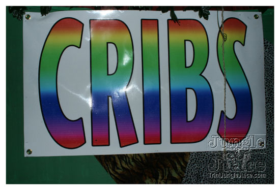 cribs_lost_in_jungle_jun21-001