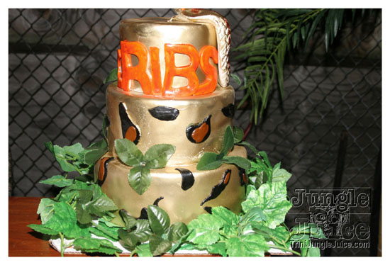 cribs_lost_in_jungle_jun21-200