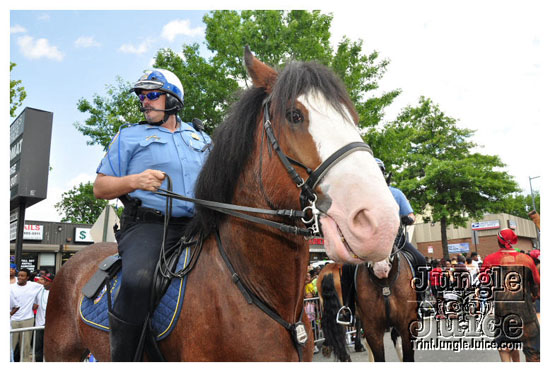 dc_carnival_2009-042