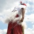 dc_carnival_2009-036