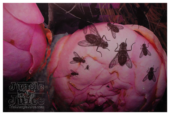 eyes_wide_shut_burlesque_apr25-148