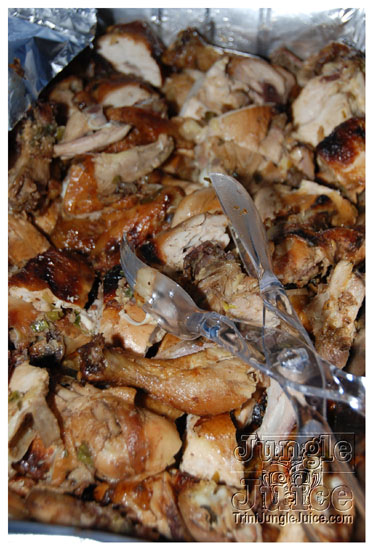 friends_miami_carnival_2009-021