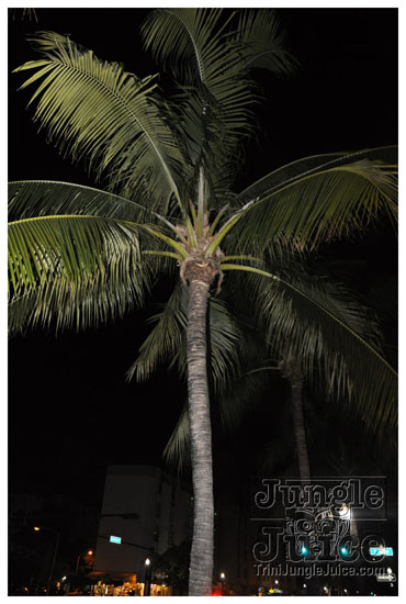 friends_miami_carnival_2009-120