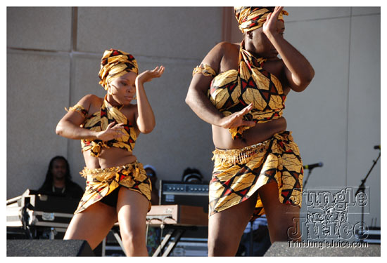 houston_parade_jul5_2009_pt2-001