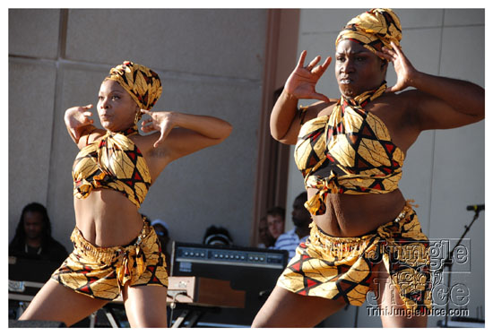 houston_parade_jul5_2009_pt2-002