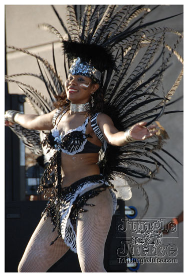 houston_parade_jul5_2009_pt2-013