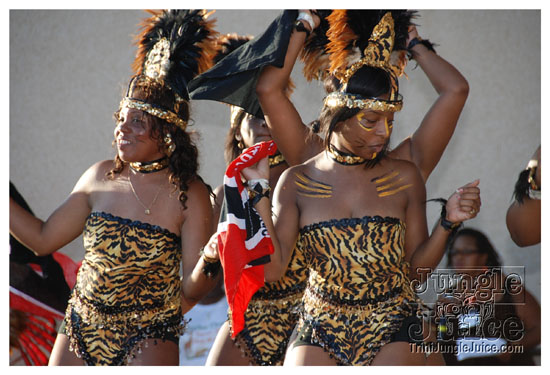 houston_parade_jul5_2009_pt2-016