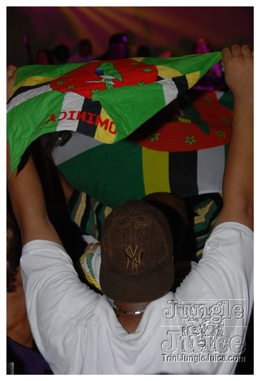 houston_parade_jul5_2009_pt2-099