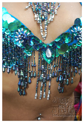 ip_tuesday_2009_part2-053