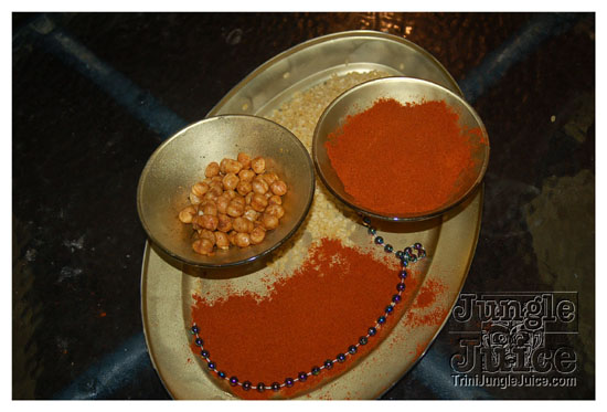 islandpeople_mas_2010_launch-004