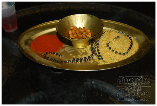 islandpeople_mas_2010_launch-033