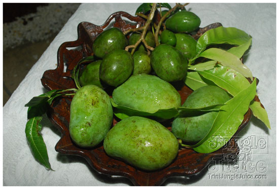 islandpeople_mas_2010_launch-102