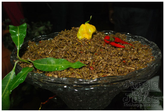 islandpeople_mas_2010_launch-103