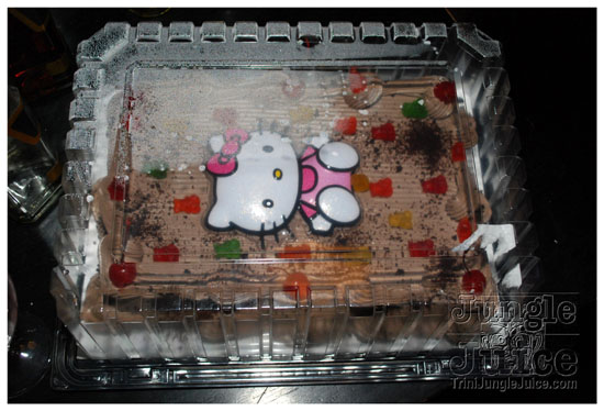 its_obama_video_launch_mar26-005