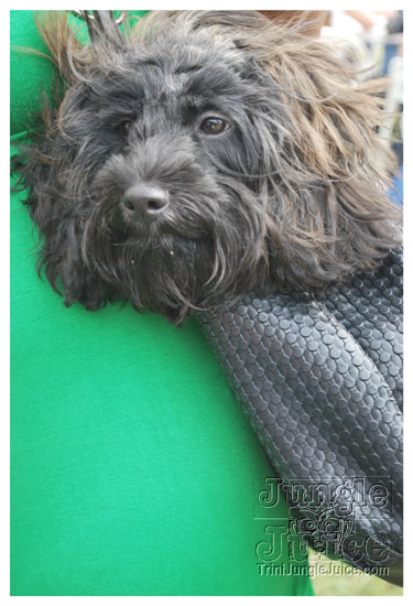 jack_daniels_grill_off_may24-229