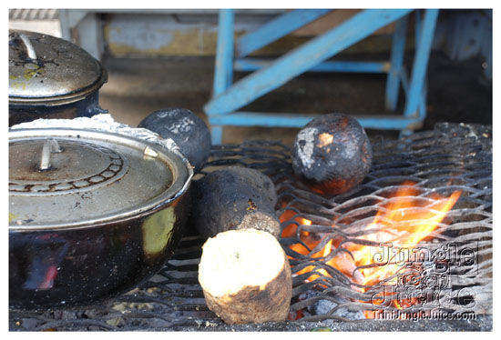 0-kingston_to_ocho_rios-007