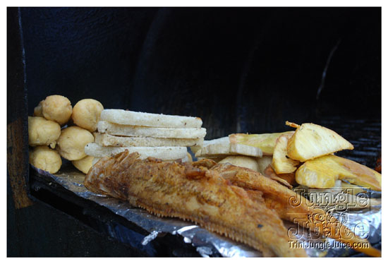 0-kingston_to_ocho_rios-010