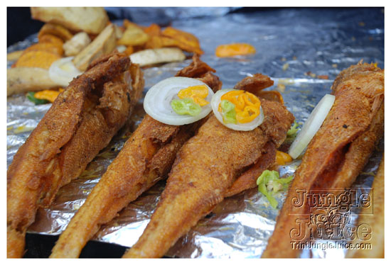 0-kingston_to_ocho_rios-015