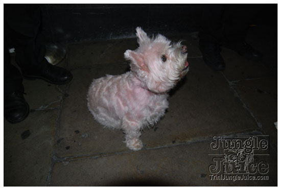 puk_energy_press_conf_aug27-060