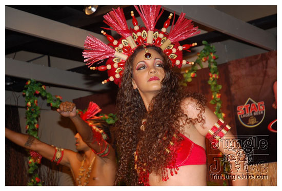 pulse8_launch_2010-012