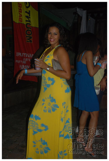 rebel_vibes_band_launch_2009-018