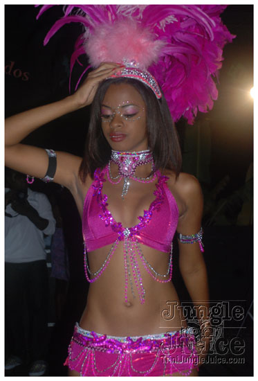 rebel_vibes_band_launch_2009-043