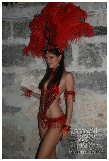 rebel_vibes_band_launch_2009-070