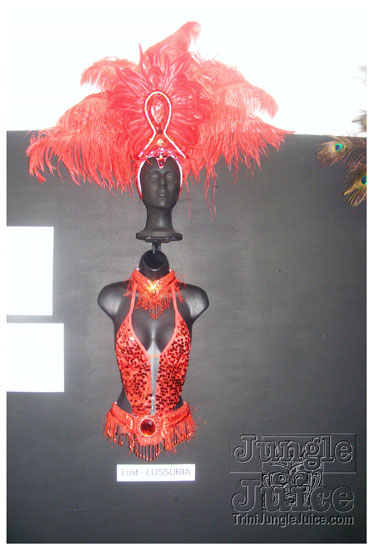 rebel_vibes_band_launch_2009-102