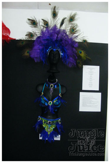 rebel_vibes_band_launch_2009-103