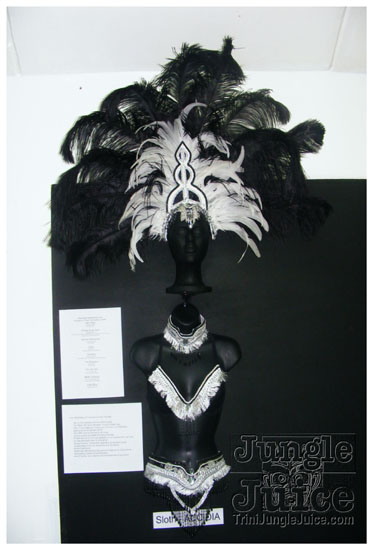 rebel_vibes_band_launch_2009-104