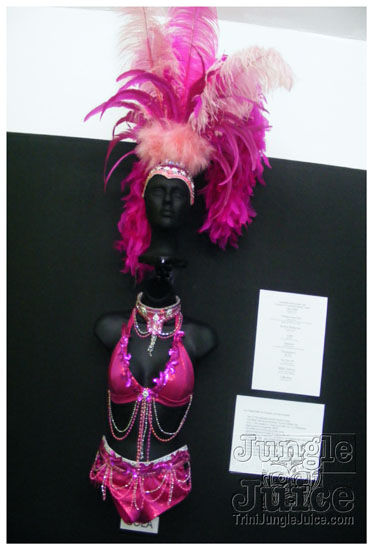 rebel_vibes_band_launch_2009-106