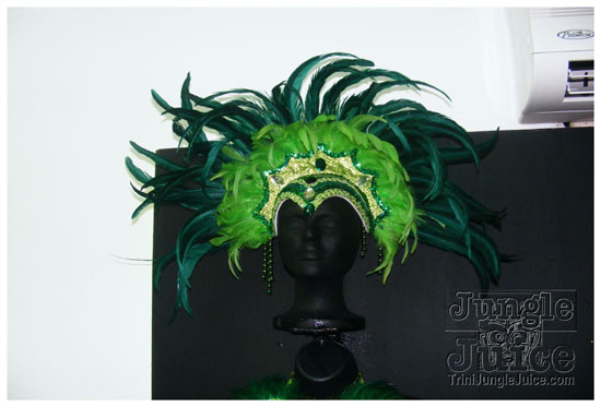 rebel_vibes_band_launch_2009-107