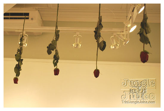 red_appropriated_apr03-005