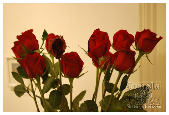 red_appropriated_apr03-014