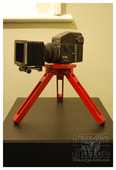 red_appropriated_apr03-019