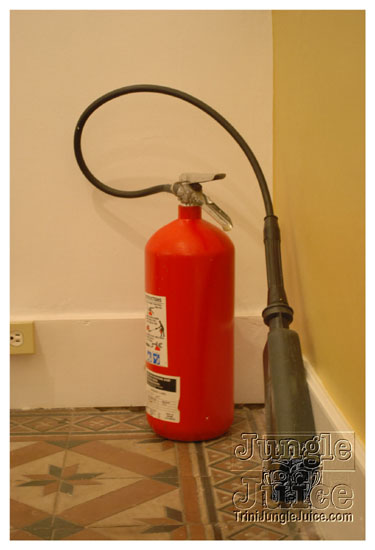 red_appropriated_apr03-046