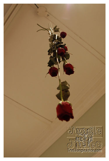 red_appropriated_apr03-103