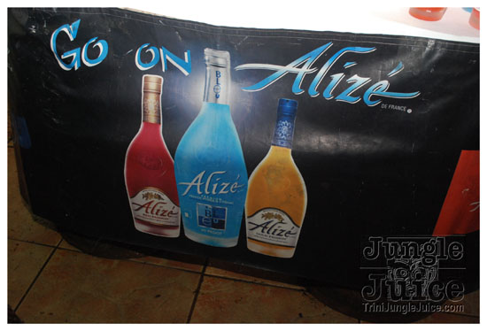 shade_summer_spree_2009-002