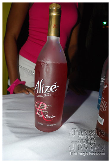 shade_summer_spree_2009-003