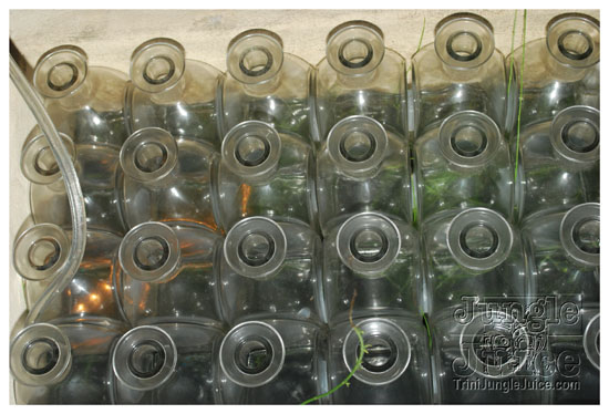 shade_summer_spree_2009-043