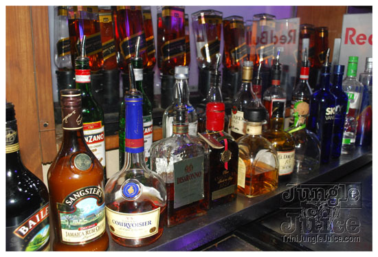 shade_summer_spree_2009-106