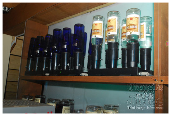 shade_summer_spree_2009-107