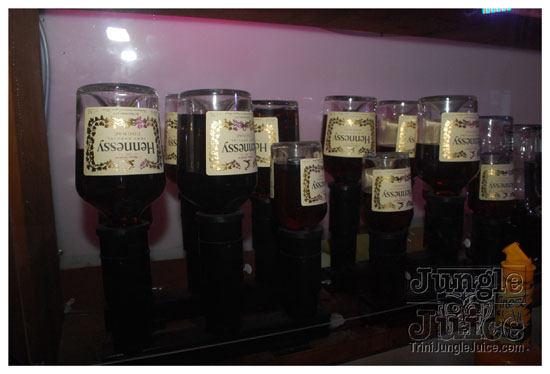 shade_summer_spree_2009-108