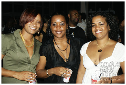 shine_toronto_2009-001