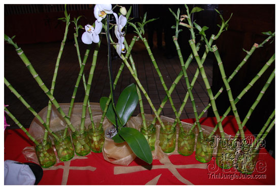 shipwrecked_all_inclusive_aug29-007