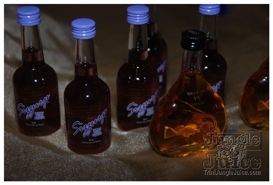 shipwrecked_all_inclusive_aug29-088