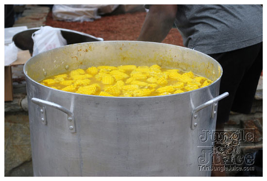 six_flags_daycation_july11-004