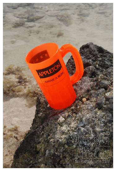 soca_at_de_sandbar_apr15-023