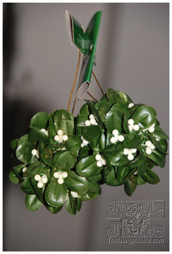 soca_under_de_mistletoe_dec5-018